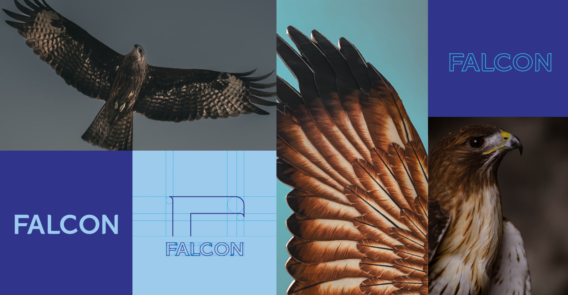 Falcon Project image 160